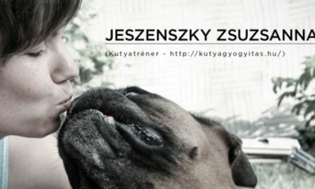 jeszenszkyzsuzsi- kutyaterapia.hu