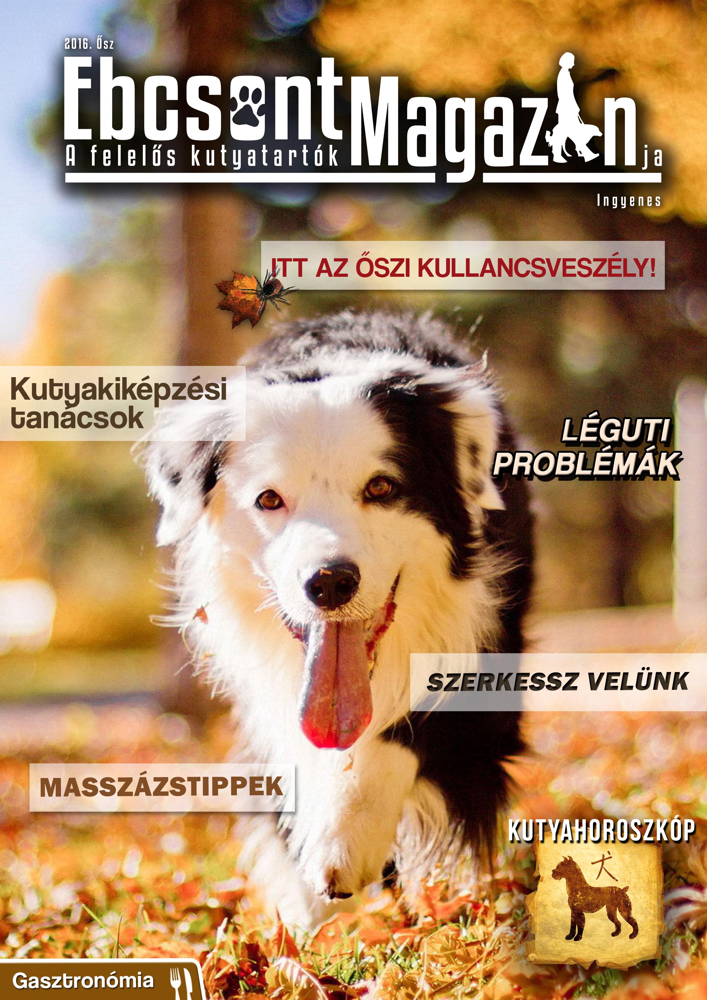 Ebcsont Magazin 2016 Ősz